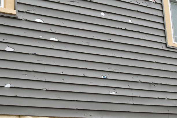 Historical Building Siding Restoration in Bartonville, TX